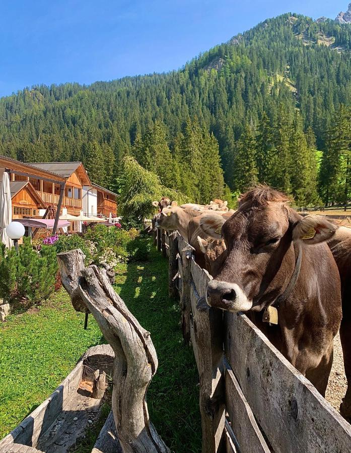 בראייס Alpin Natur Hotel Brueckele מראה חיצוני תמונה
